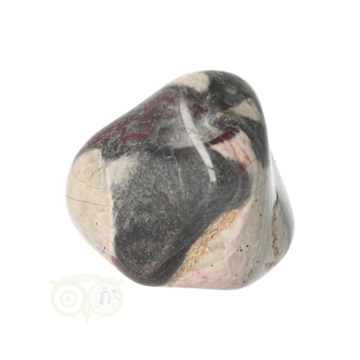 Jaspis Zilverblad trommelsteen nr. 10 - 22 gram | Edelsteen