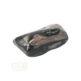 Jaspis Zilverblad trommelsteen nr. 17 - 24 gram | Edelsteen