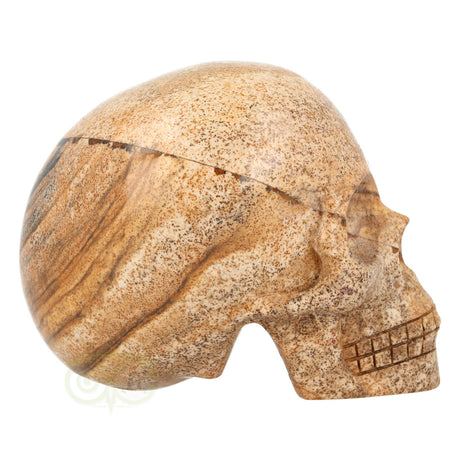 Landschaps jaspis schedel nr. 154 – 305 gram | Edelsteen skull