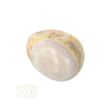 Bumble Bee Jasper tumbled stone no. 10 - 21 grams | Gemstone