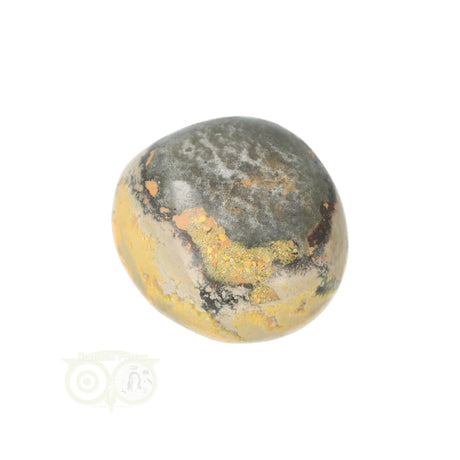 Bumble Bee Jaspis trommelsteen nr. 12 - 21 gram | Edelsteen