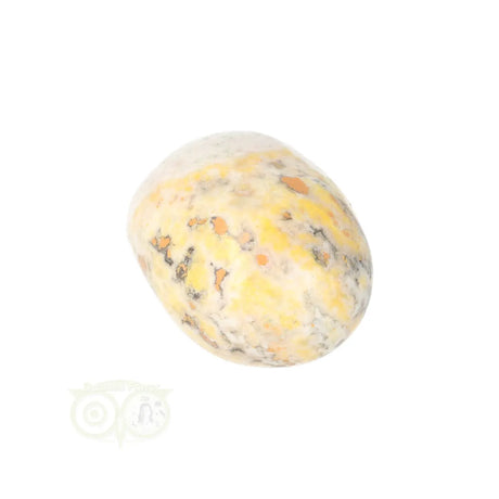 Bumble Bee Jasper tumbled stone no. 16 - 23 grams | Gemstone