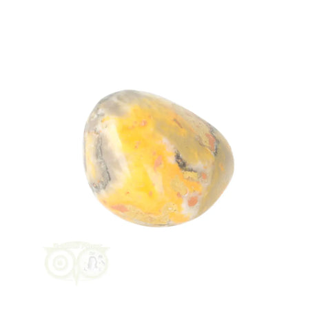 Bumble Bee Jasper tumbled stone no. 17 - 13 grams | Gemstone