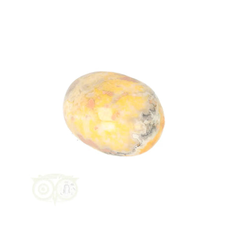 Bumble Bee Jasper tumbled stone no. 18 - 14 grams | Gemstone
