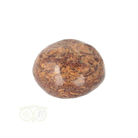Coquina Jasper tumbled stone No. 11