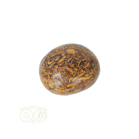 Coquina Jasper tumbled stone No. 17