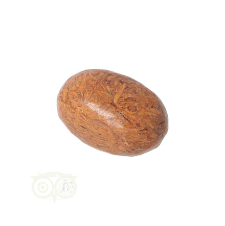 Coquina Jasper tumbled stone No. 5