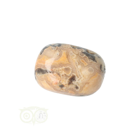 Crazy Lace Agate tumbled stone No. 8