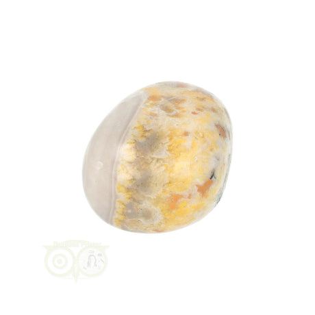 Bumble Bee Jasper tumbled stone no. 10 - 21 grams | Gemstone