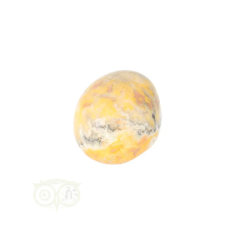 Bumble Bee Jasper tumbled stone no. 18 - 14 grams | Gemstone