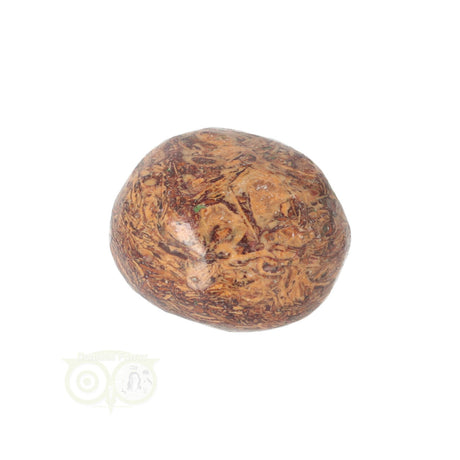 Coquina Jasper tumbled stone No. 11