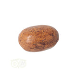 Coquina Jasper tumbled stone No. 5