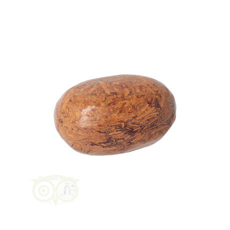 Coquina Jasper tumbled stone No. 5