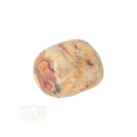 Crazy Lace Agaat trommelsteen nr. 24 - 19 gram | Edelsteen