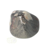 Jaspis Zilverblad trommelsteen nr. 10 - 22 gram | Edelsteen