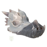 Agaat geode drakenschedel 822 gram met bergkristal en belijning