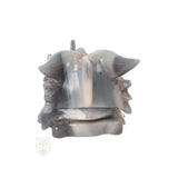 Agaat drakenschedel nr. 508 – 822 gram | Edelstenen schedel
