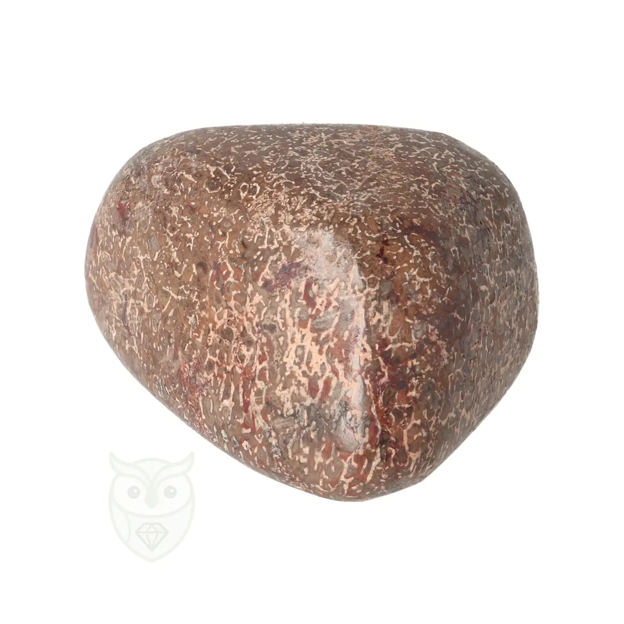 Atlasaurus-Boot Nr. 8 - 137 Gramm | Fossilien