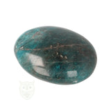 Blue Apatite Palm Stone No. 87 - 99 grams - Madagascar | Gemstone