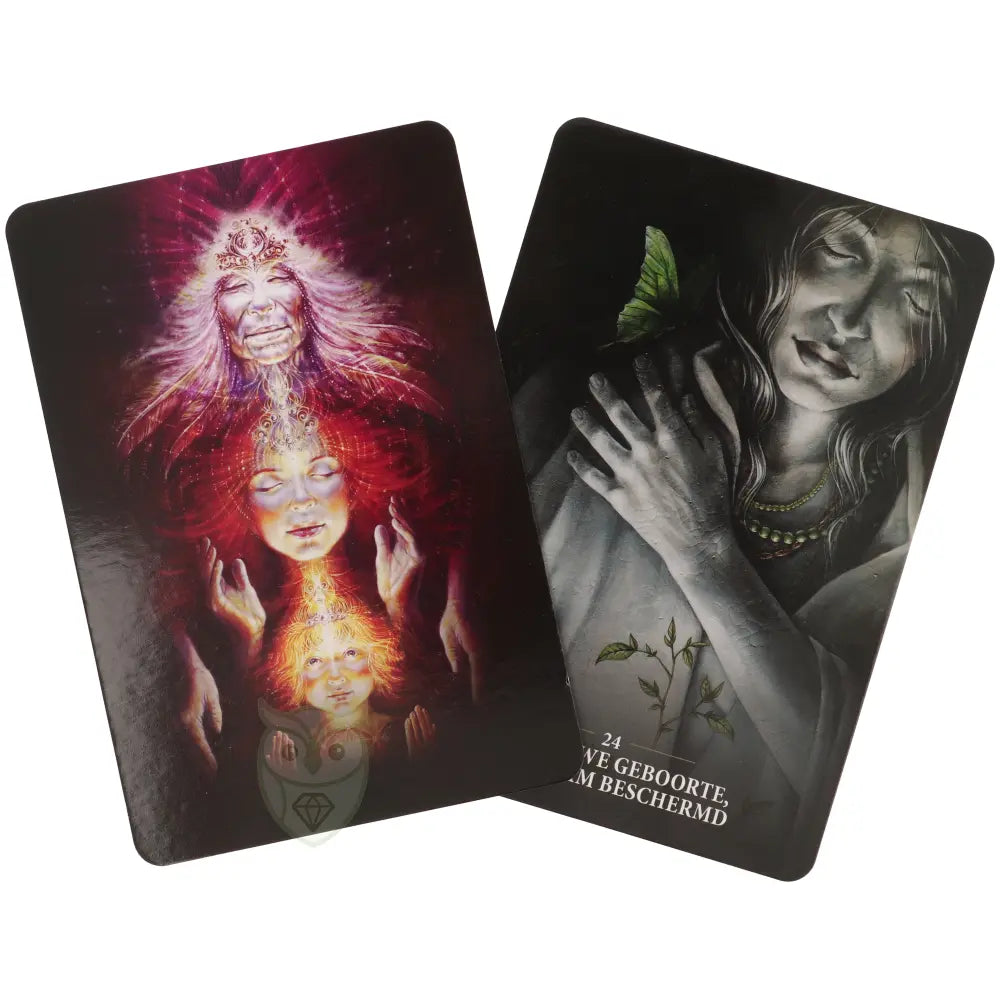 Die Weisheit deines inneren Rebellen – Alana Fairchild – Orakelkarten