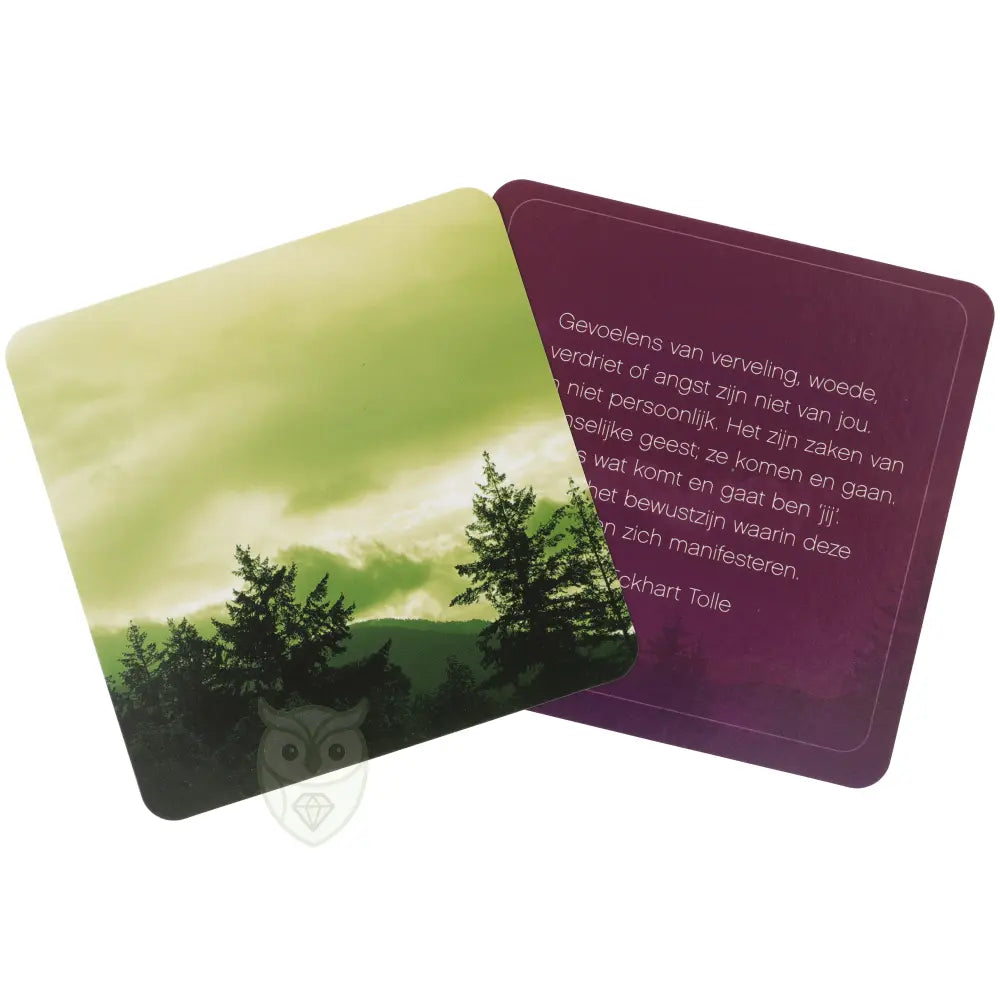 Leef in het Nu kaartendeck met 52 kaarten en uitlegboekje