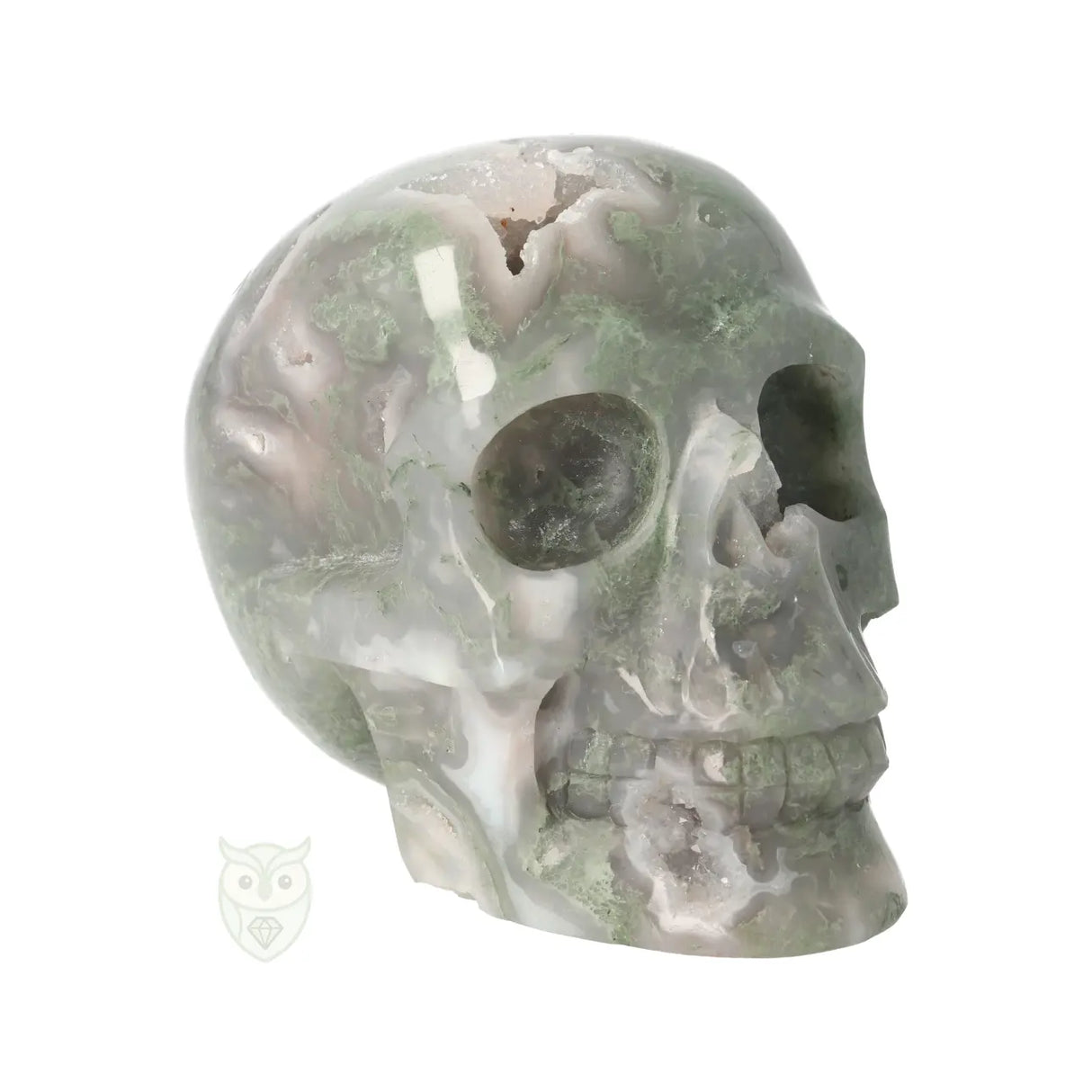 Mosagaat schedel nr. 265 - 909 gram | Edelsteen skull