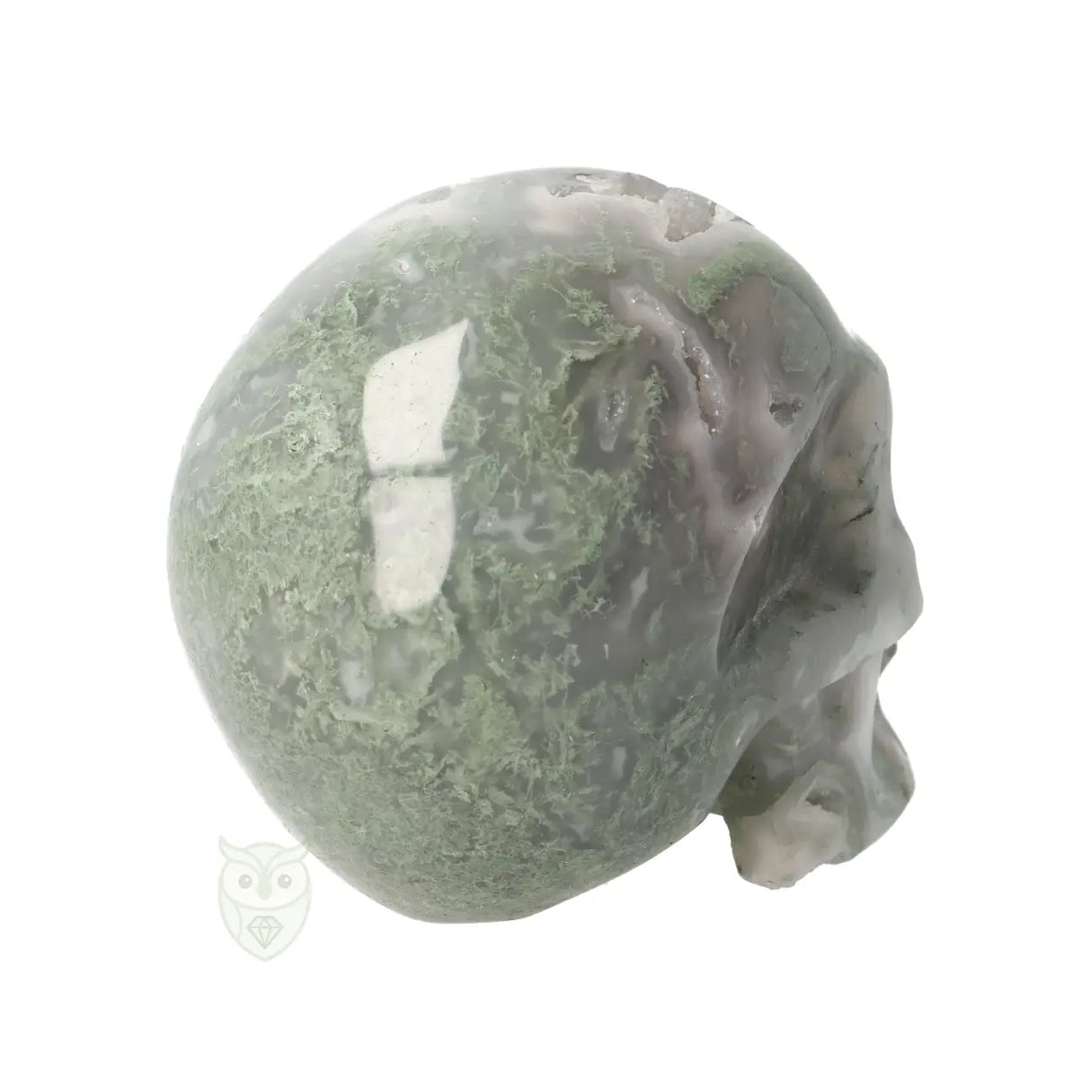 Mosagaat schedel nr. 265 - 909 gram | Edelsteen skull