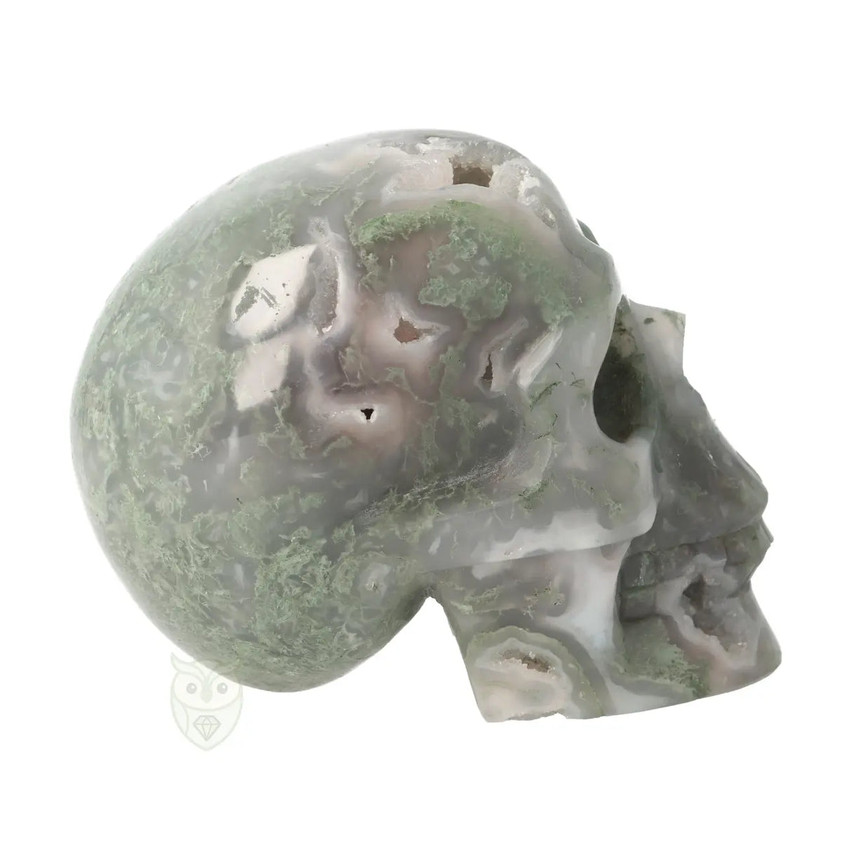 Mosagaat schedel nr. 265 - 909 gram | Edelsteen skull