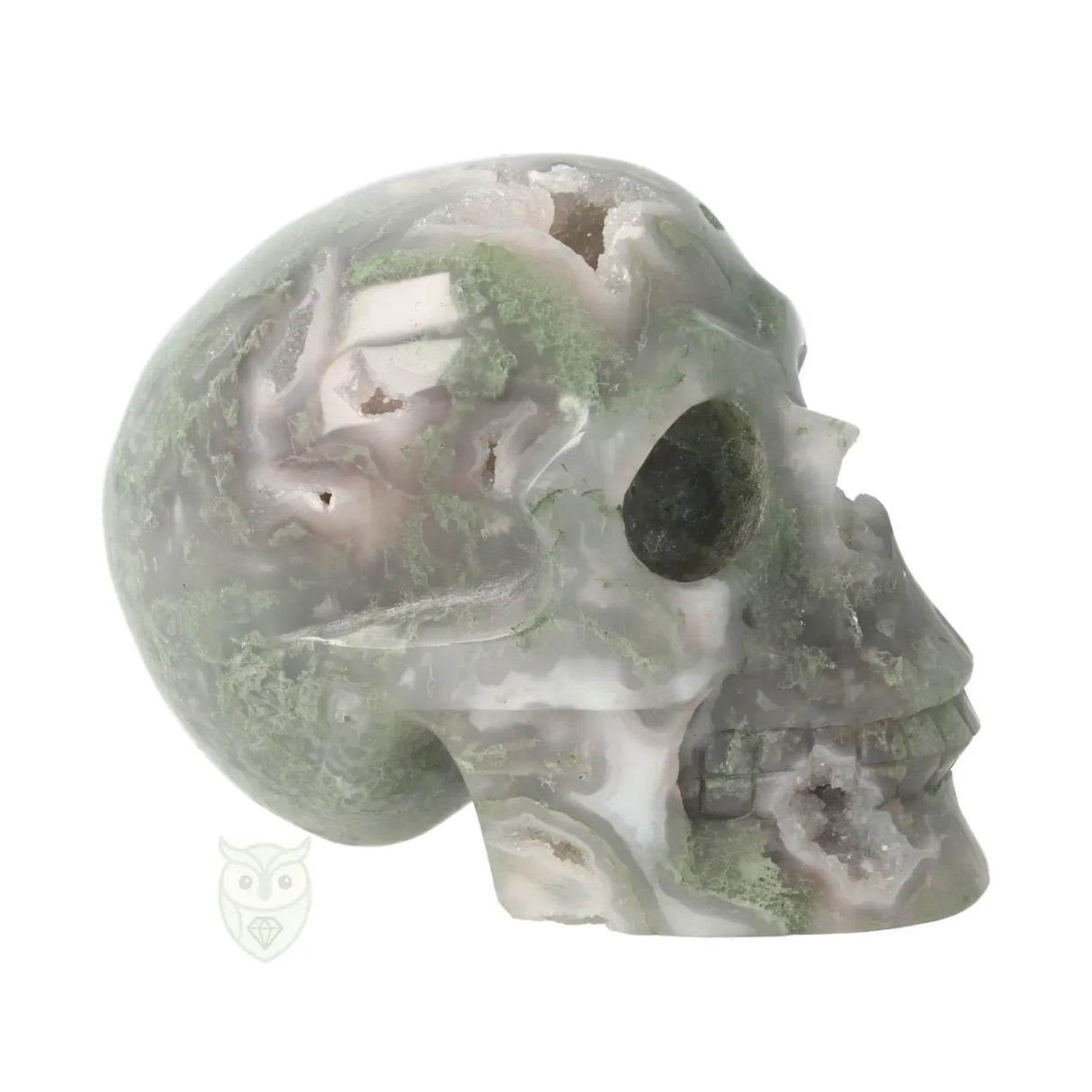 Mosagaat schedel nr. 265 - 909 gram | Edelsteen skull