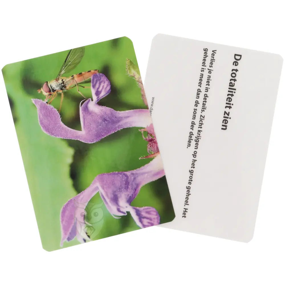 natuurfoto kaarten dagelijk inspiratie set