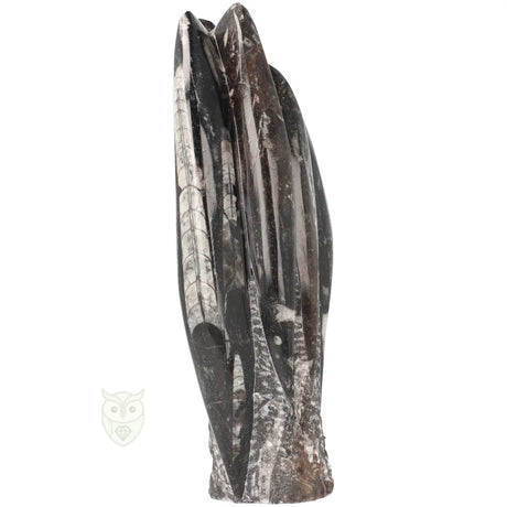 Orthoceras sculptuur groot 1498 gram met fossiele insluitsels