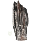 Orthoceras-Skulptur, 1498 Gramm