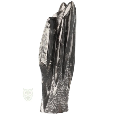 Orthoceras steen sculptuur 1498 gram met zwarte en witte tekening
