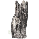 Orthoceras sculptuur nr. 41 met zichtbare fossiele schelpen en gepolijste afwerking