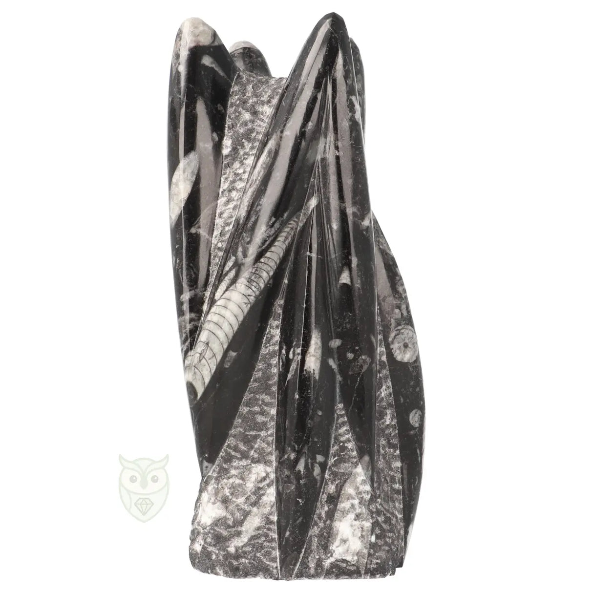 Orthoceras sculptuur nr. 41 - 1607 gram | Fossiel decoratie steen