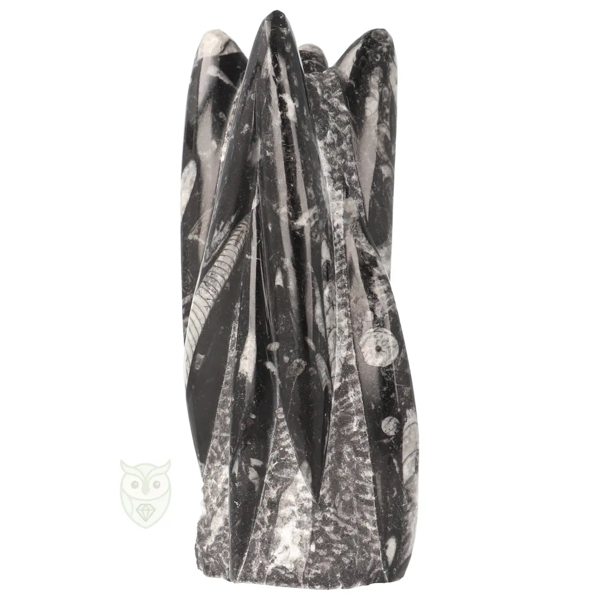 Orthoceras sculptuur nr. 41 - 1607 gram | Fossiel decoratie steen