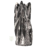 Orthoceras sculptuur nr. 41 - 1607 gram | Fossiel decoratie steen