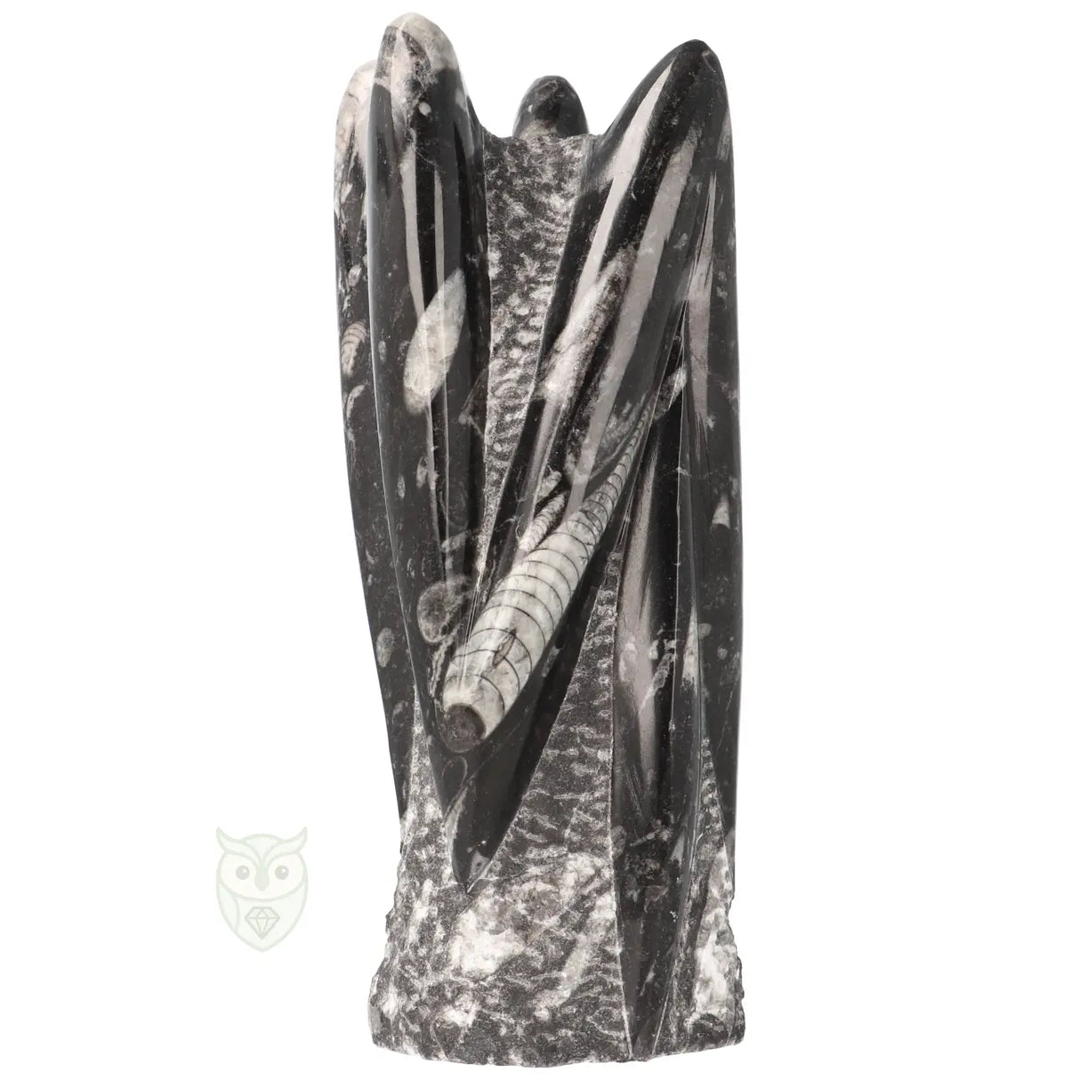 Orthoceras sculptuur nr. 41 - 1607 gram | Fossiel decoratie steen