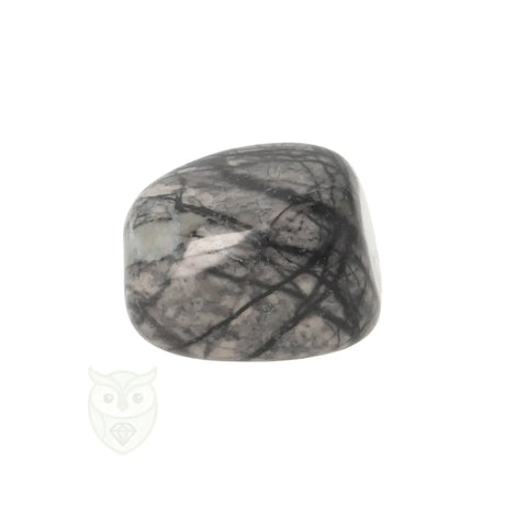 Picasso Jaspis trommelsteenn nr. 16 - 19 gram | Edelsteen