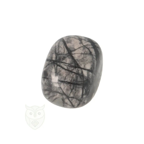 Picasso Jaspis trommelsteenn nr. 16 - 19 gram | Edelsteen