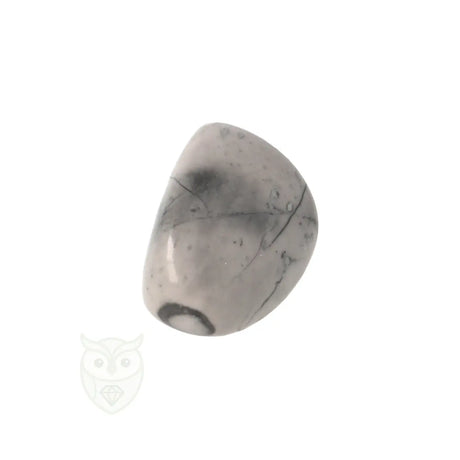 Picasso Jaspis trommelsteenn nr. 17 - 18 gram | Edelsteen