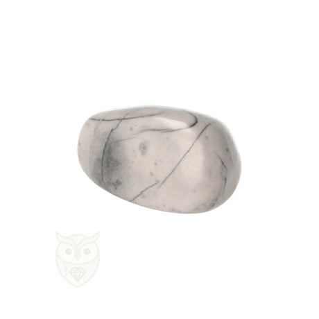 Picasso Jaspis trommelsteenn nr. 17 - 18 gram | Edelsteen