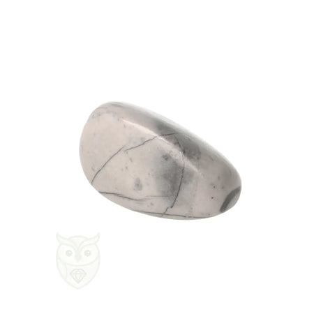 Picasso Jaspis trommelsteenn nr. 17 - 18 gram | Edelsteen