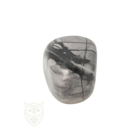 Picasso Jaspis trommelsteenn nr. 18 - 18 gram | Edelsteen