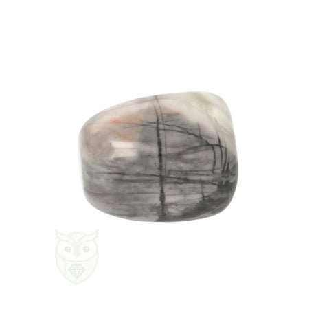 Picasso Jaspis trommelsteenn nr. 18 - 18 gram | Edelsteen
