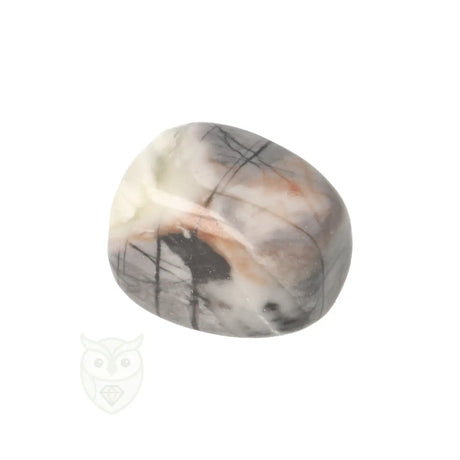 Picasso Jaspis trommelsteenn nr. 18 - 18 gram | Edelsteen