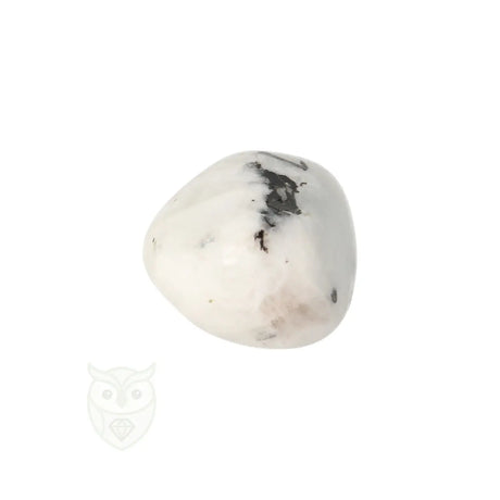 Regenboog Maansteen trommelsteen nr. 32 - 20 gram | Edelsteen