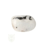 Regenboog Maansteen trommelsteen nr. 32 - 20 gram | Edelsteen