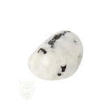 Regenboog Maansteen trommelsteen nr. 32 - 20 gram | Edelsteen