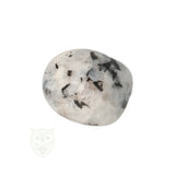 Regenboog Maansteen trommelsteen nr. 36 - 25 gram | Edelsteen